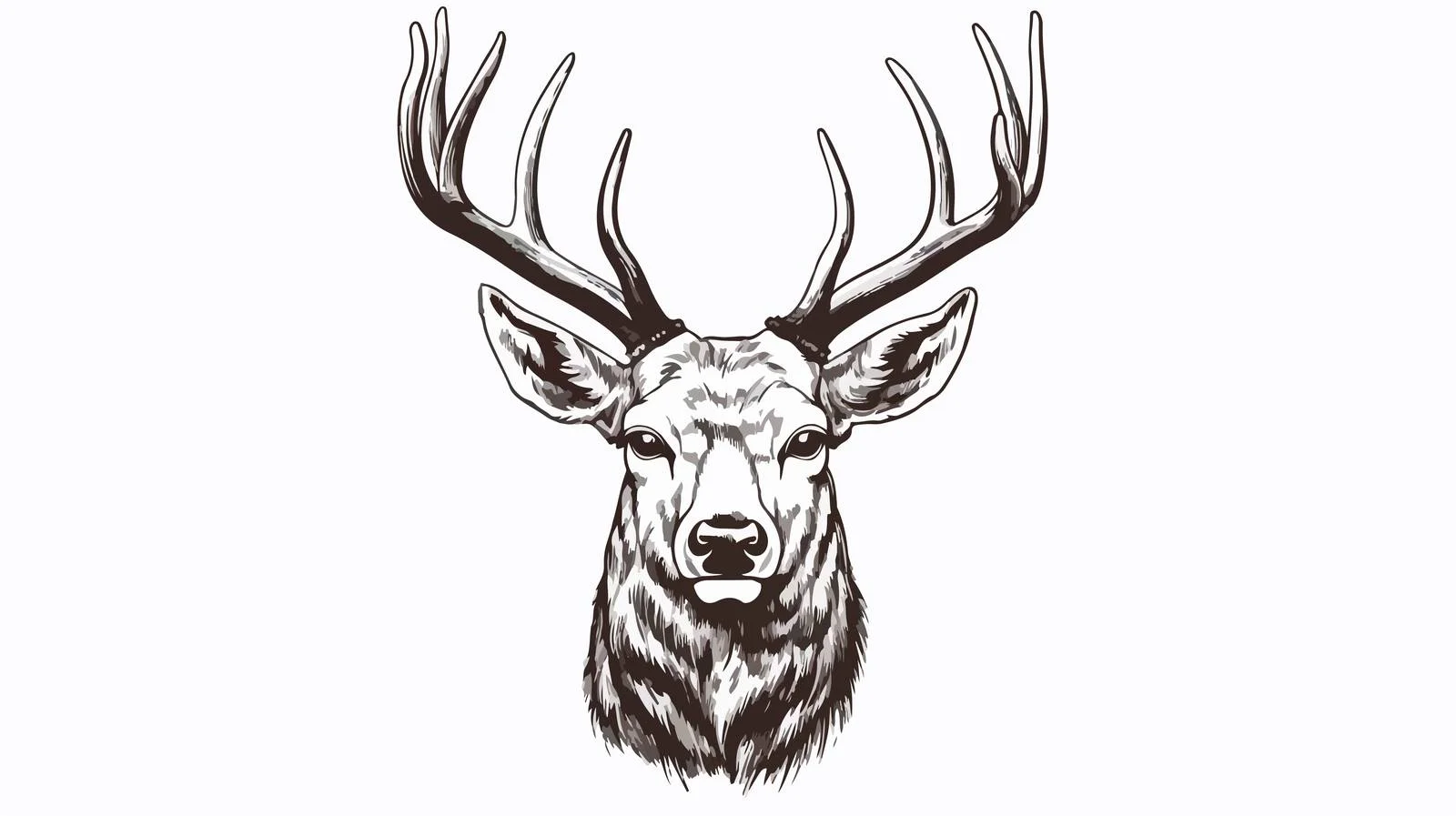 Detailed Deer Portrait Engraving Sketch — free download from Dotvec