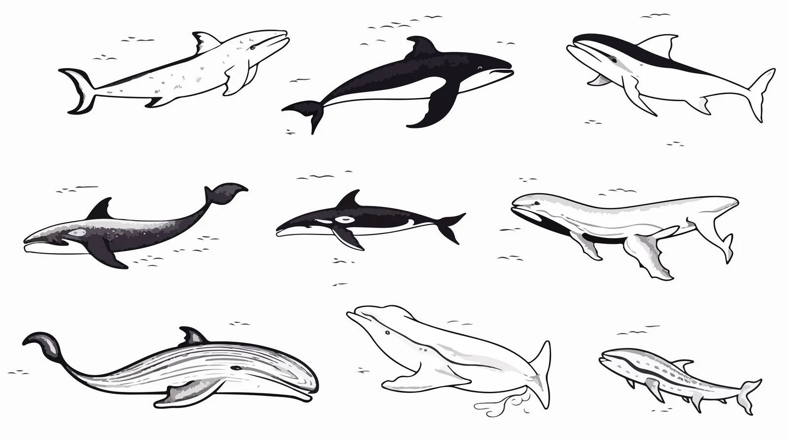 Eccentric Whale Collection: Unique Hand-Drawn Art — free download from Dotvec