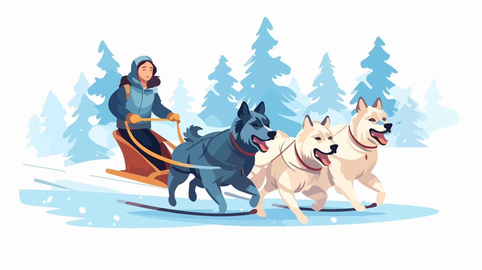 Sled Dogs Speeding with People on Sleigh — free download from Dotvec