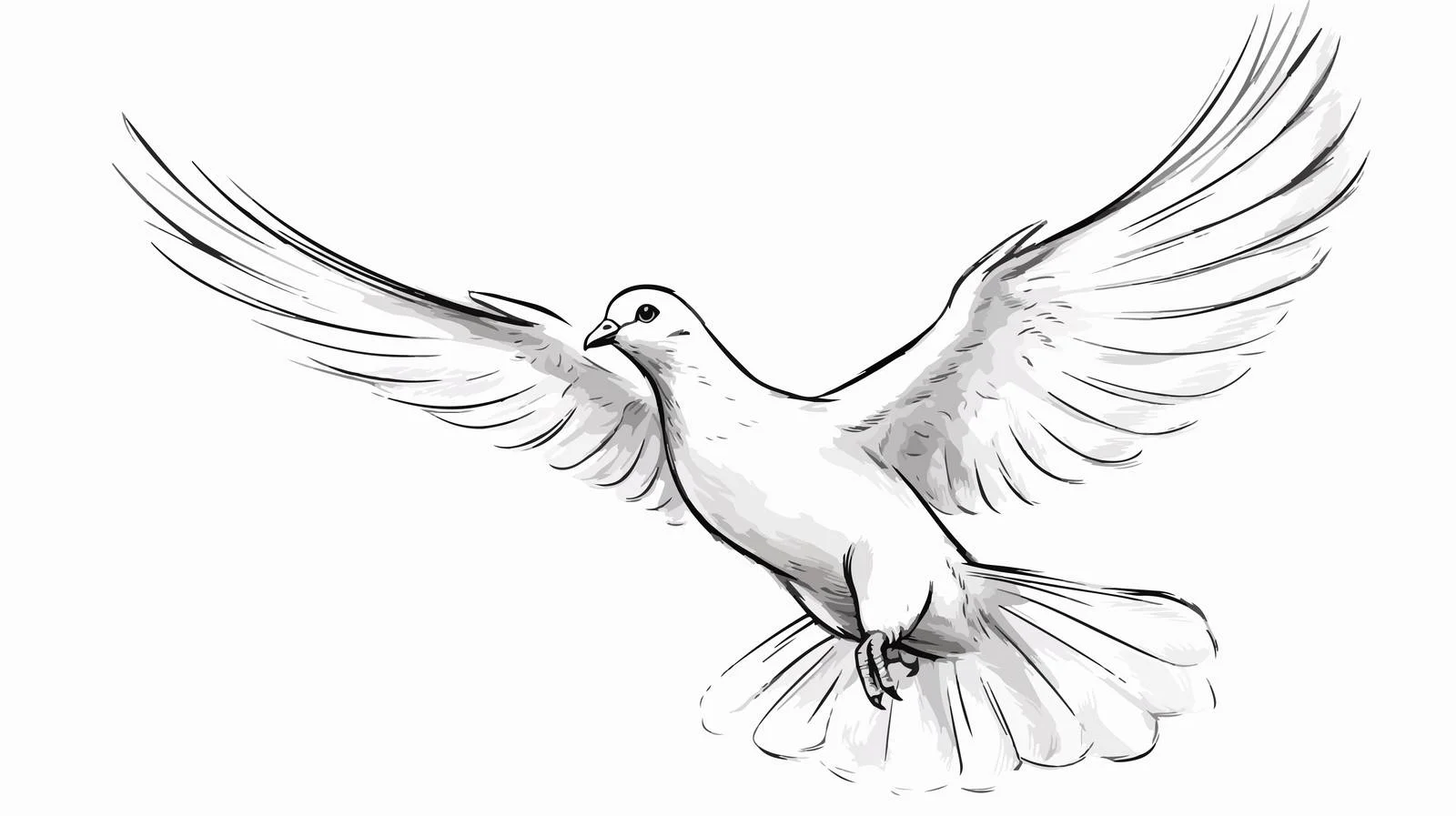 Hand-drawn Dove Cartoon Illustration — free download from Dotvec
