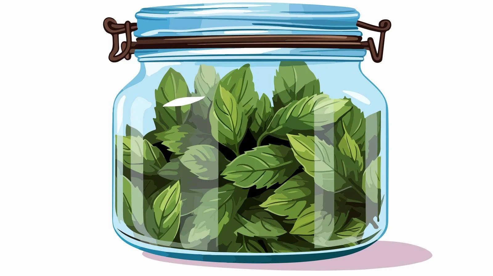 Preserved basil leaves in glass container — free download from Dotvec