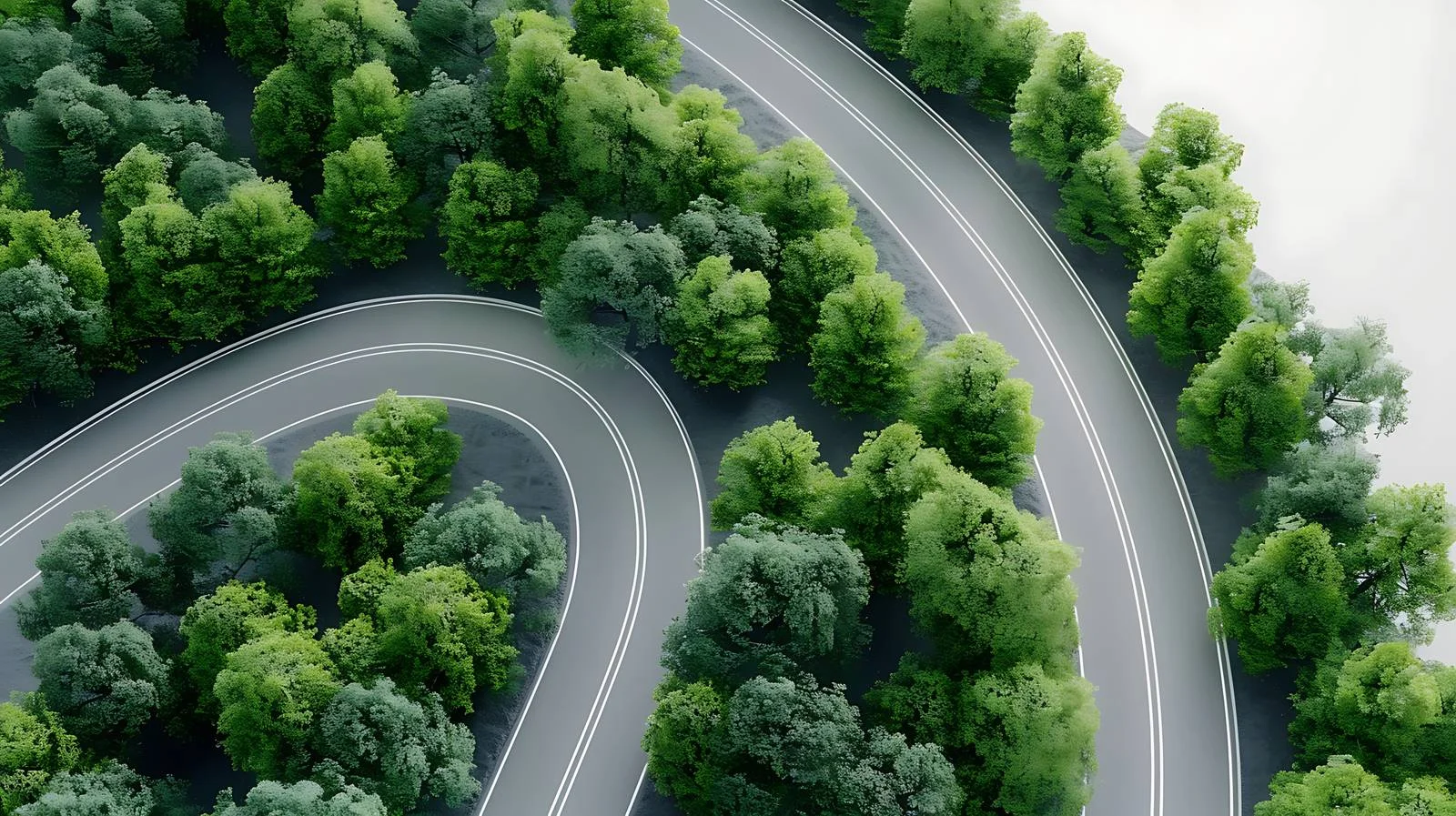 Summer Aerial View of Windy Road — free download from Dotvec