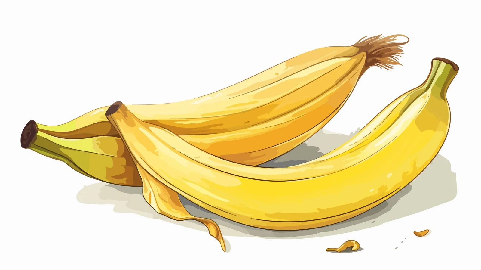 Discarded banana peel: Fruit refuse illustration – free compost image from Dotvec