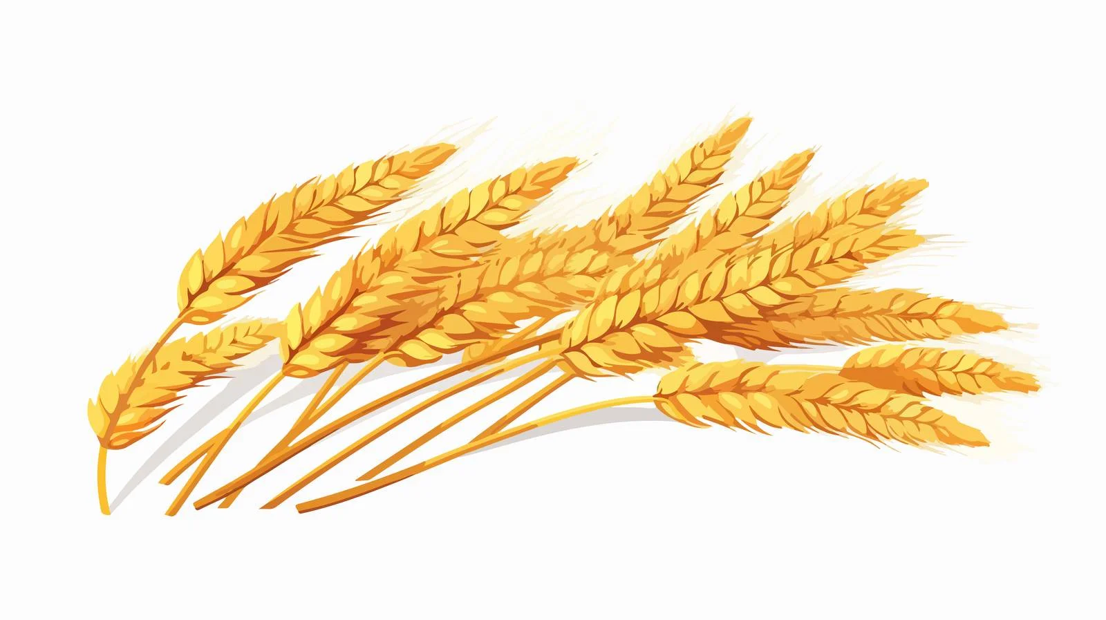 Dry Wheat Spikelets with Stem and Ear — free download from Dotvec