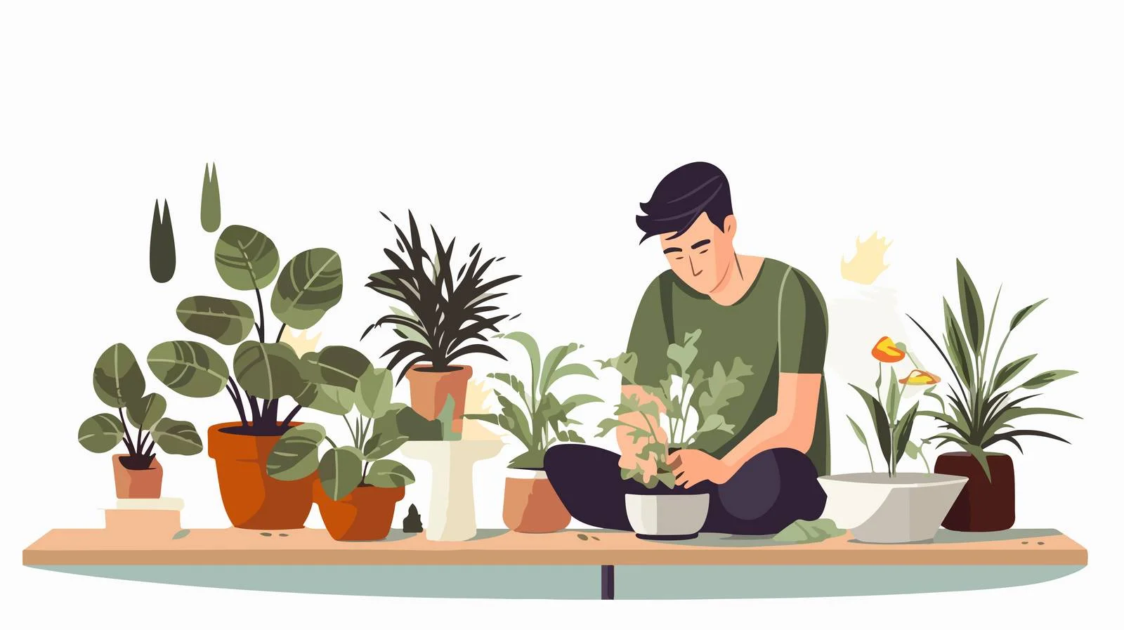 Reviving ailing potted plants with damaged leaves — free download from Dotvec