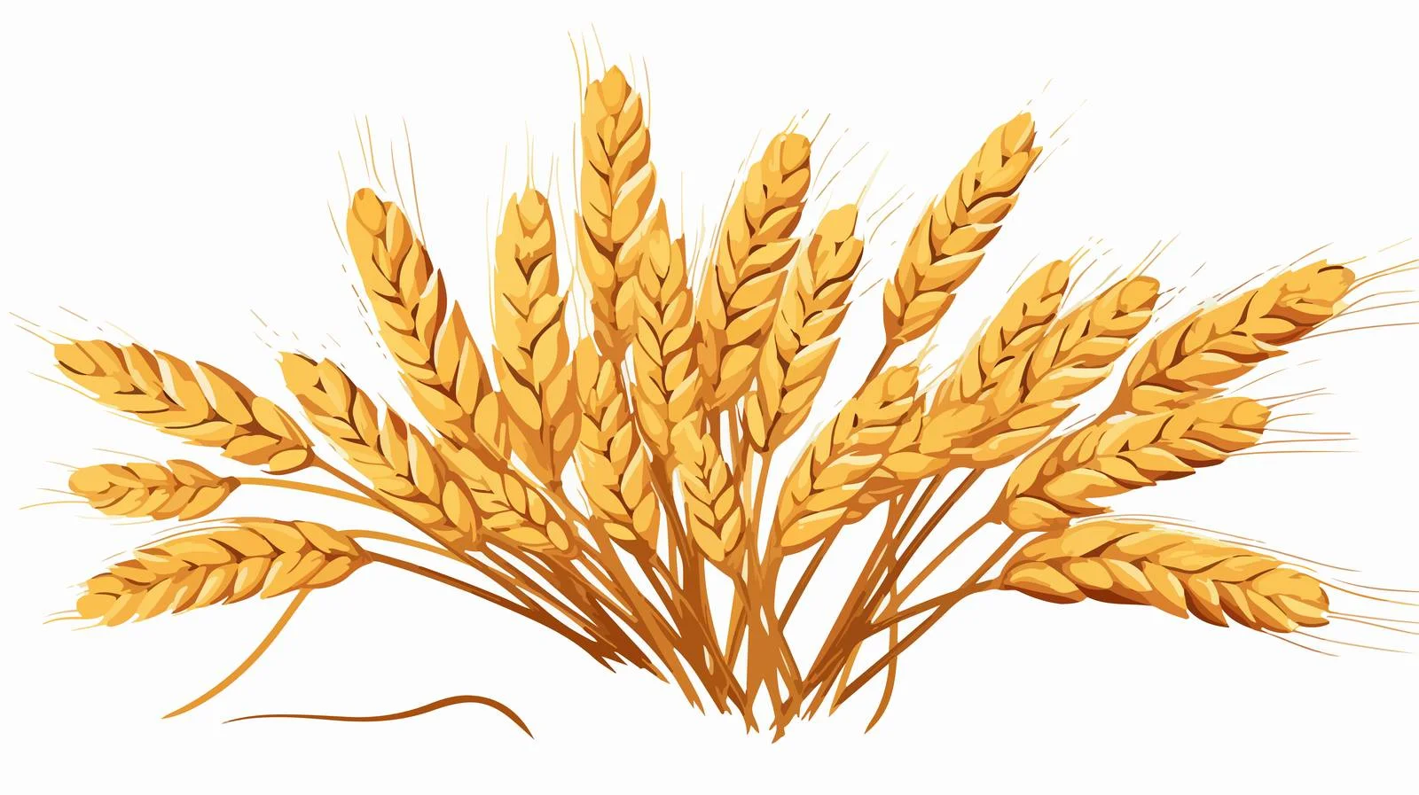 Whole Grain Wheat for Baking Bread — free download from Dotvec