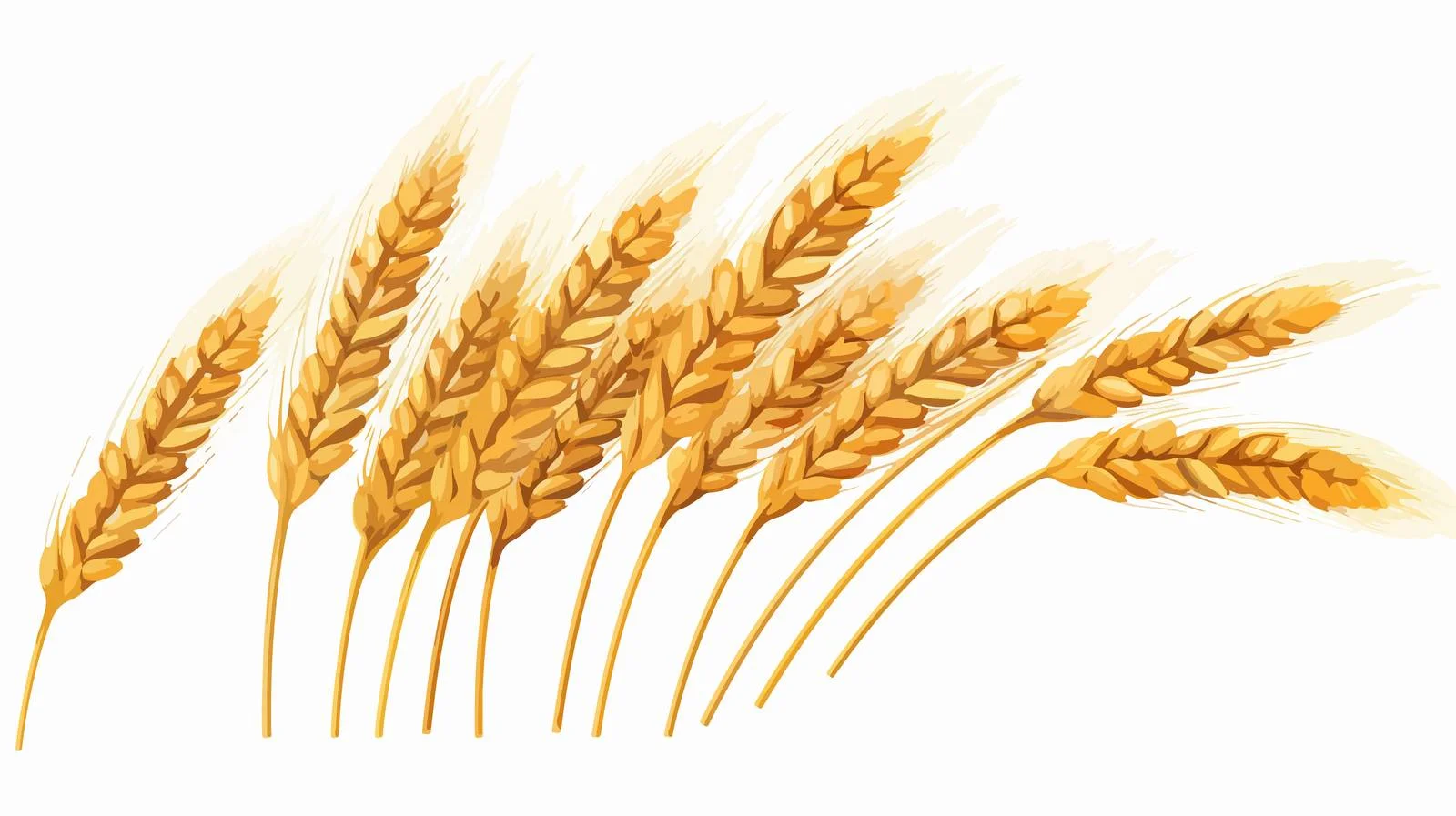 Whole Grains for Bread Making — free download from Dotvec