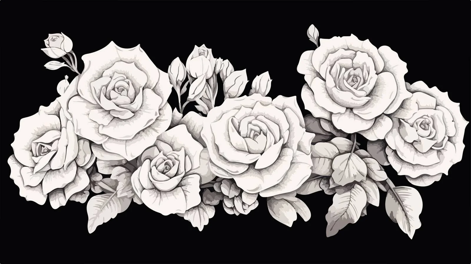 Echeveria Plants on White Background Close-Up – free echeveria image from Dotvec