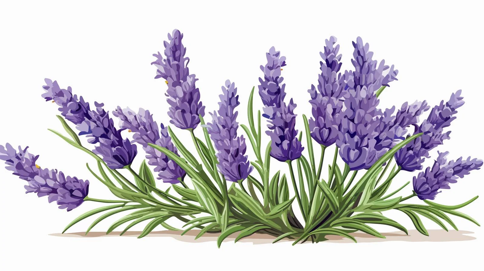 Refined Lavender Floral Sketch with Greenery — free download from Dotvec