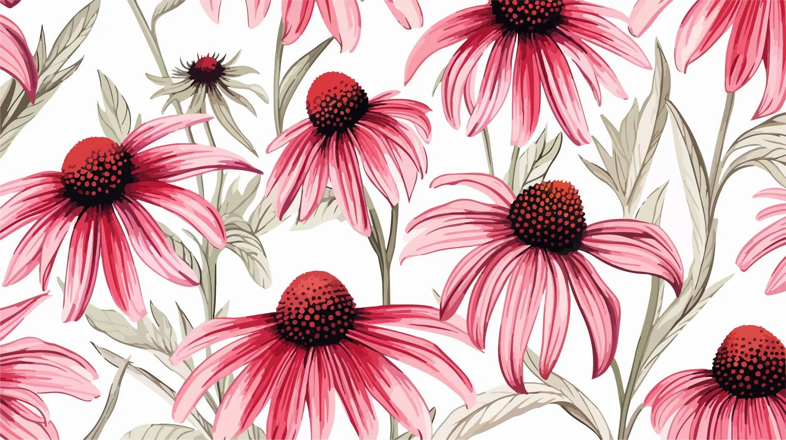 Exquisite Botanical Seamless Design Featuring Stunning Echinacea — free download from Dotvec