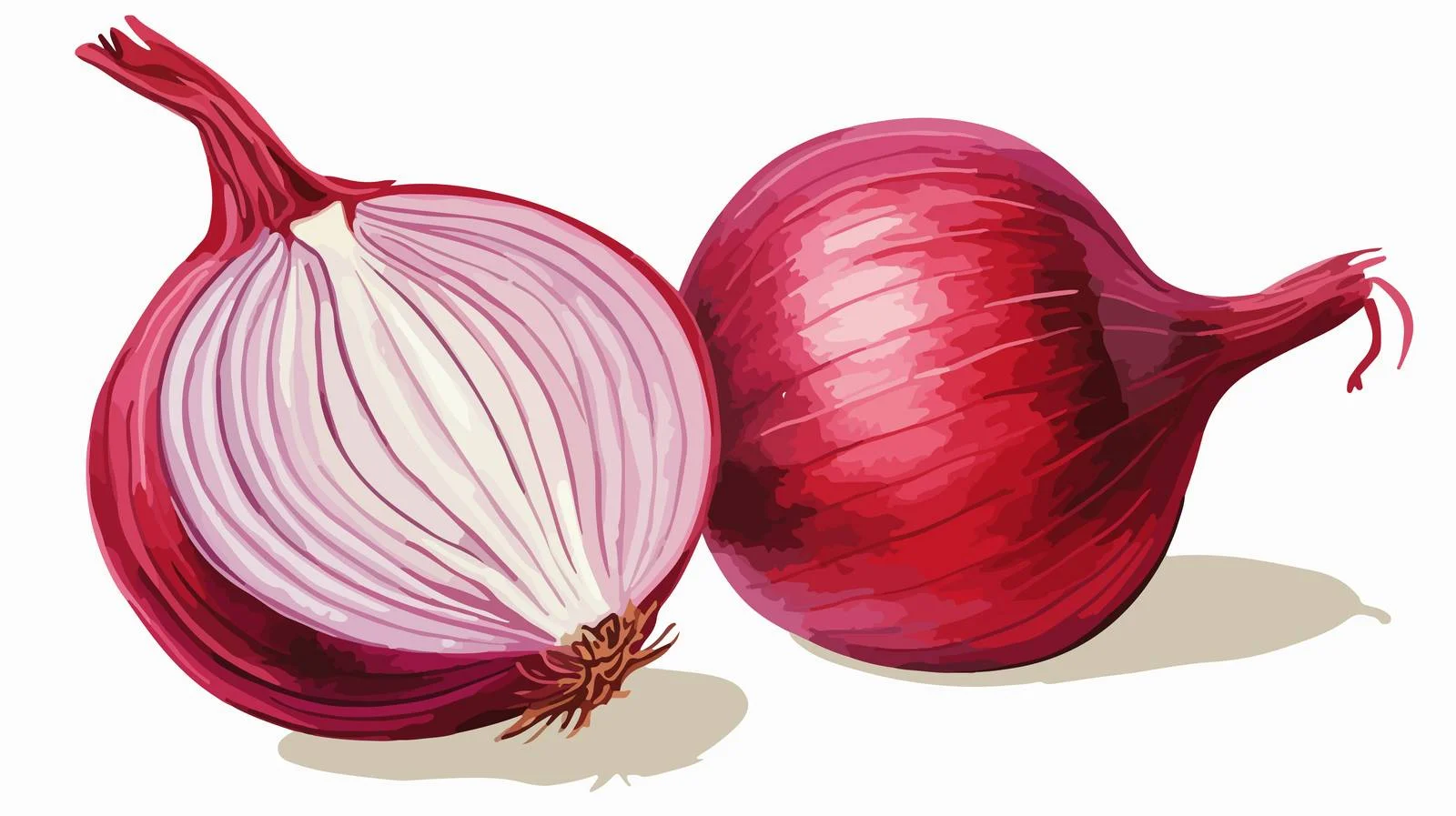 Exquisite Red Onion Artwork Display — free download from Dotvec