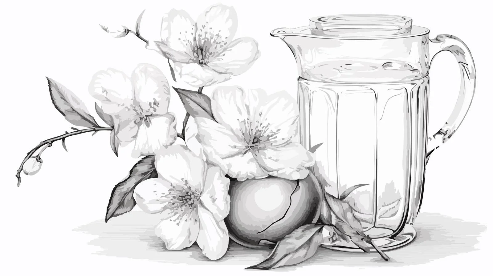 Sophisticated Glass Pitcher Sketch Drawing — free download from Dotvec