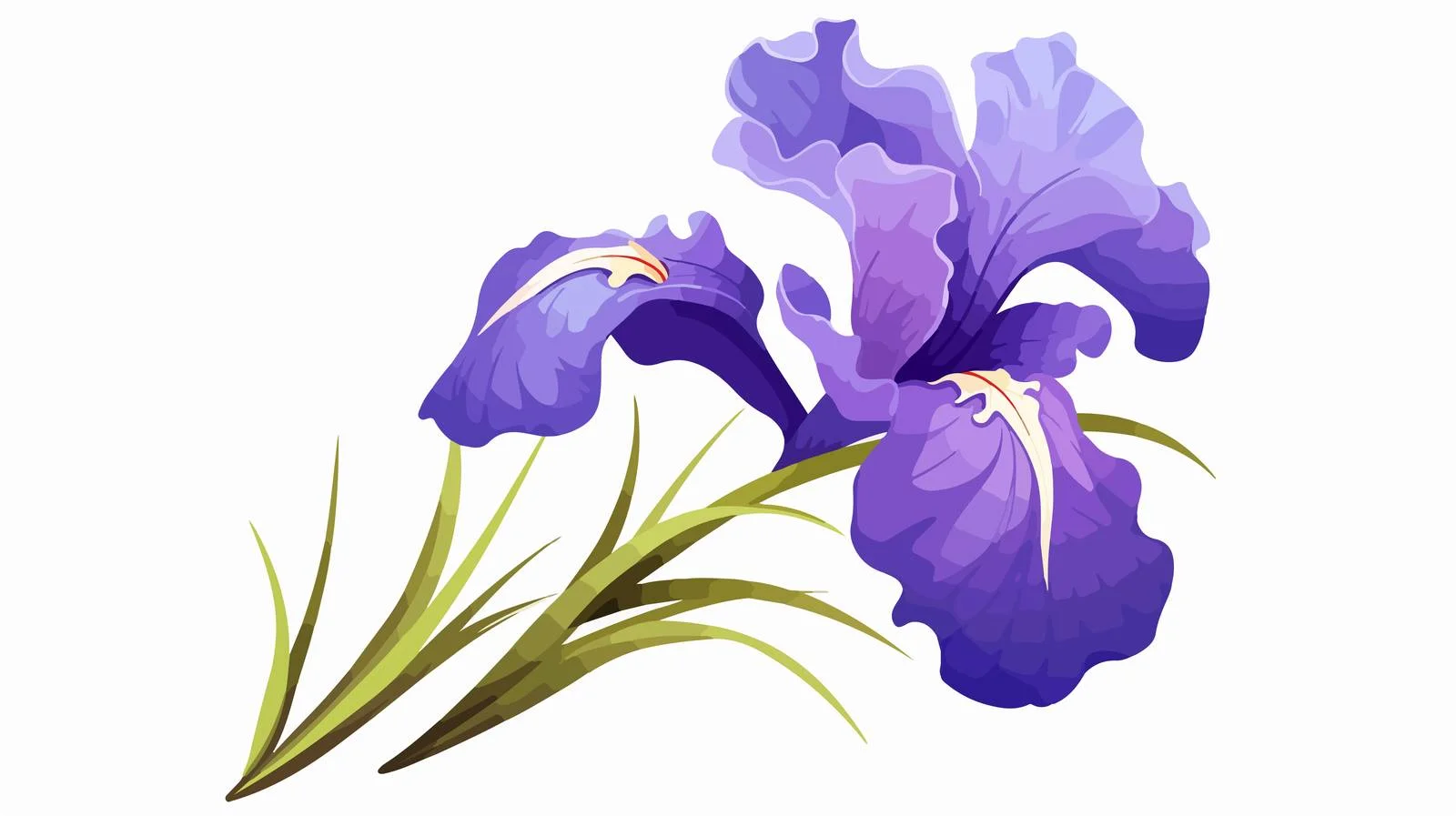 Exquisite Iris Flower Blooming Majestically — free download from Dotvec
