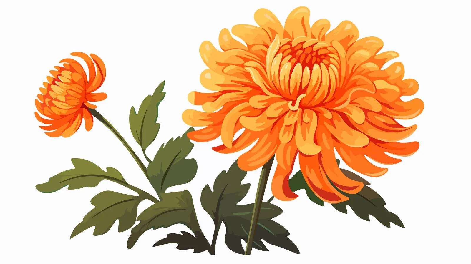 Exquisite Orange Chrysanthemum with Stem — free download from Dotvec