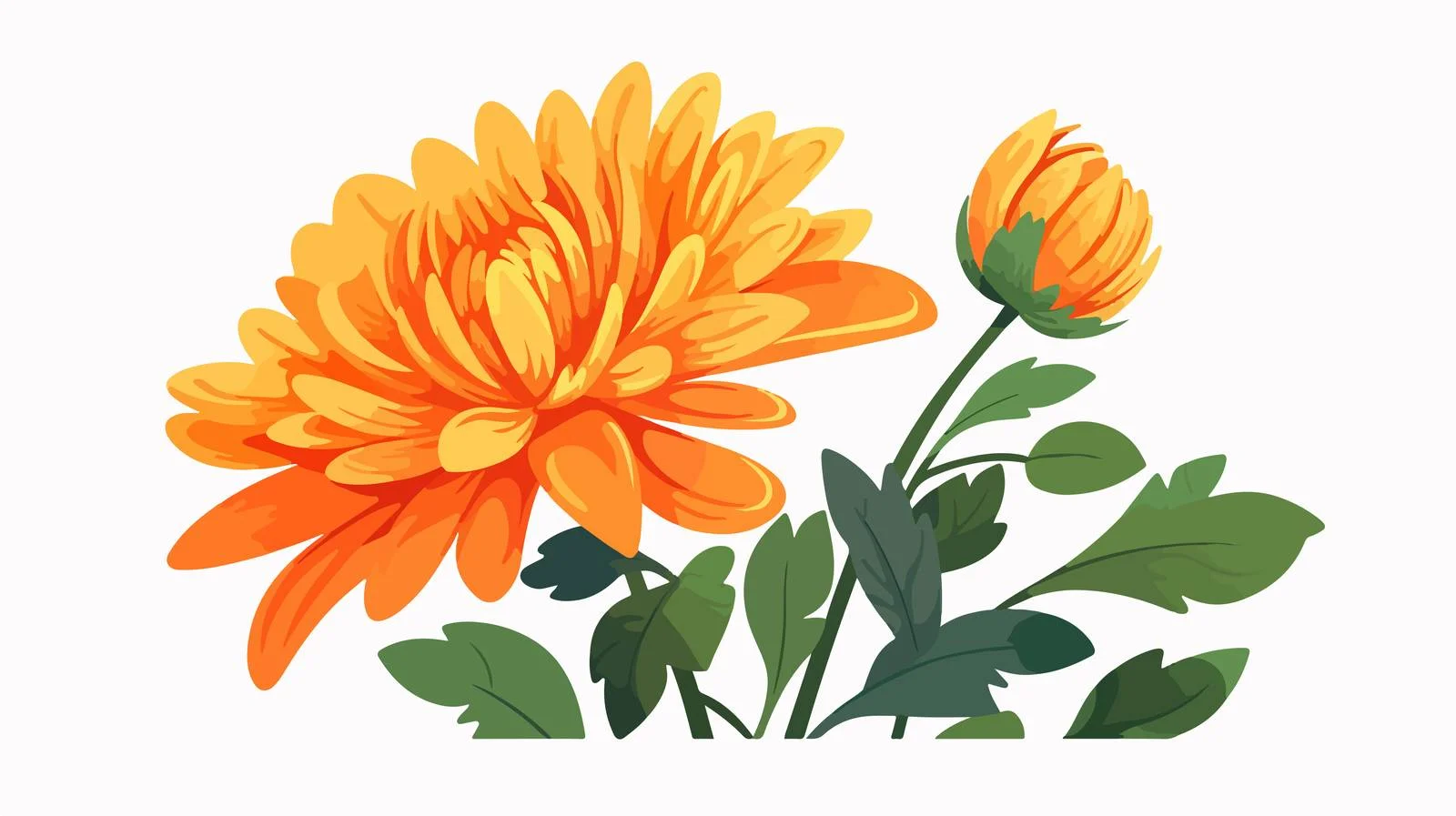 Vibrant orange chrysanthemum with graceful stem — free download from Dotvec