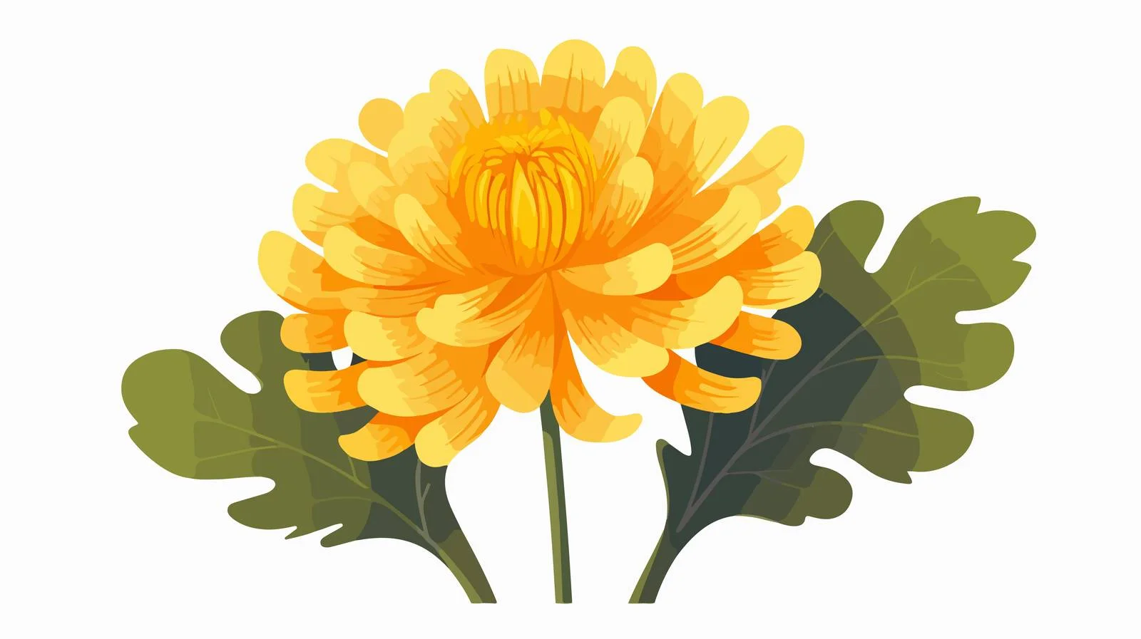 Graceful Yellow Japanese Chrysanthemum Bloom — free download from Dotvec