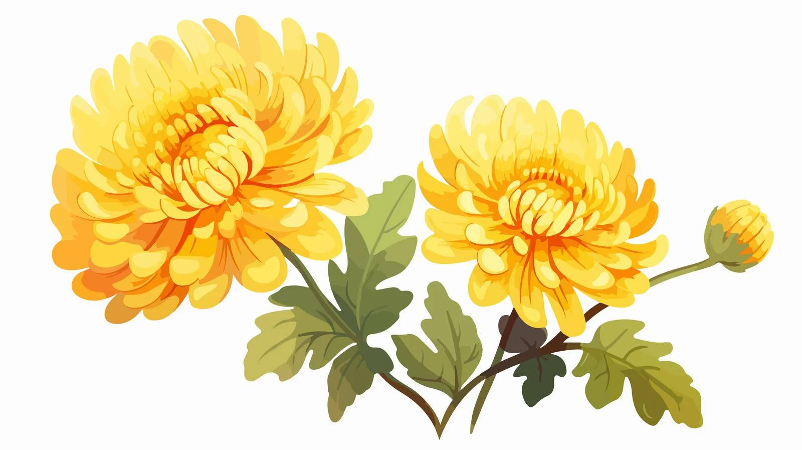 Graceful Japanese yellow chrysanthemum on stem — free download from Dotvec