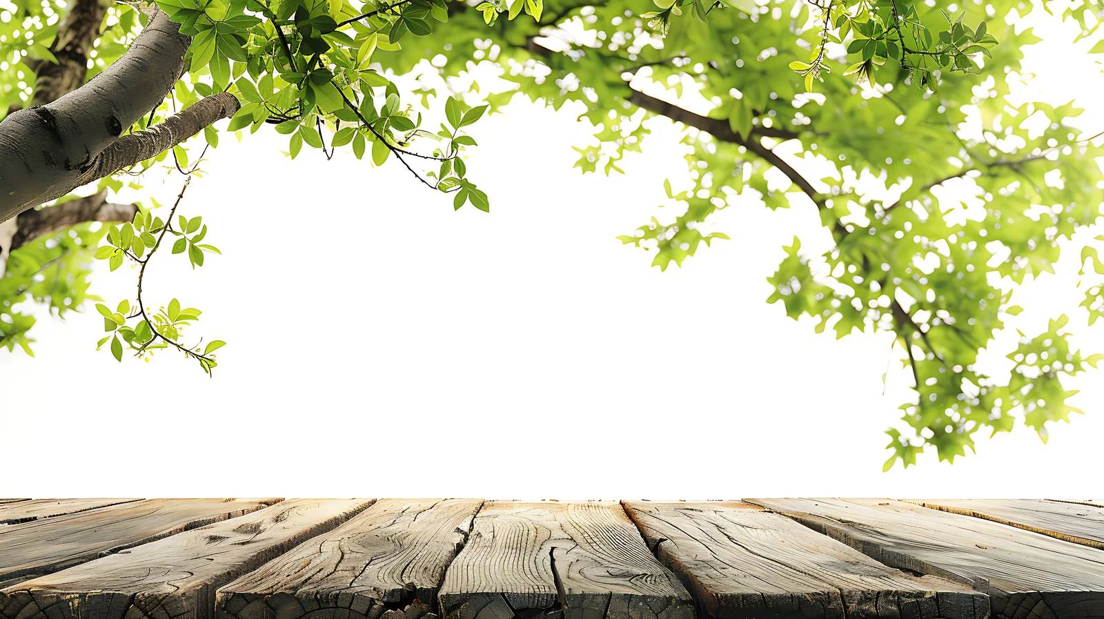 Vintage Wooden Table Surrounded by Green Spring — free download from Dotvec