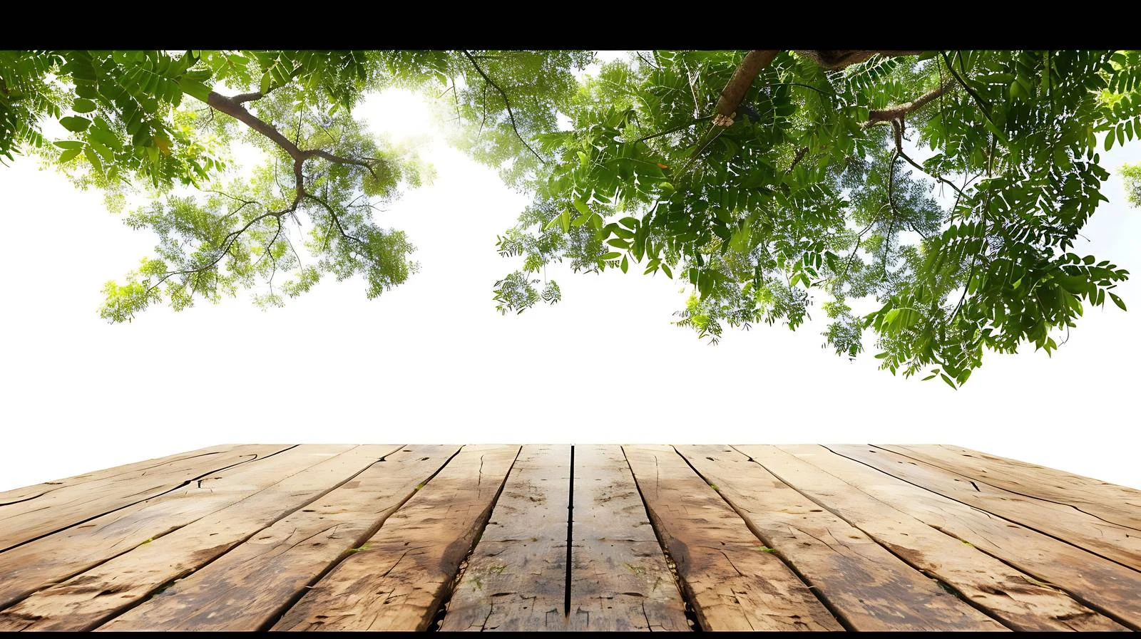 Vintage Wooden Table Surrounded by Lush Greenery — free download from Dotvec