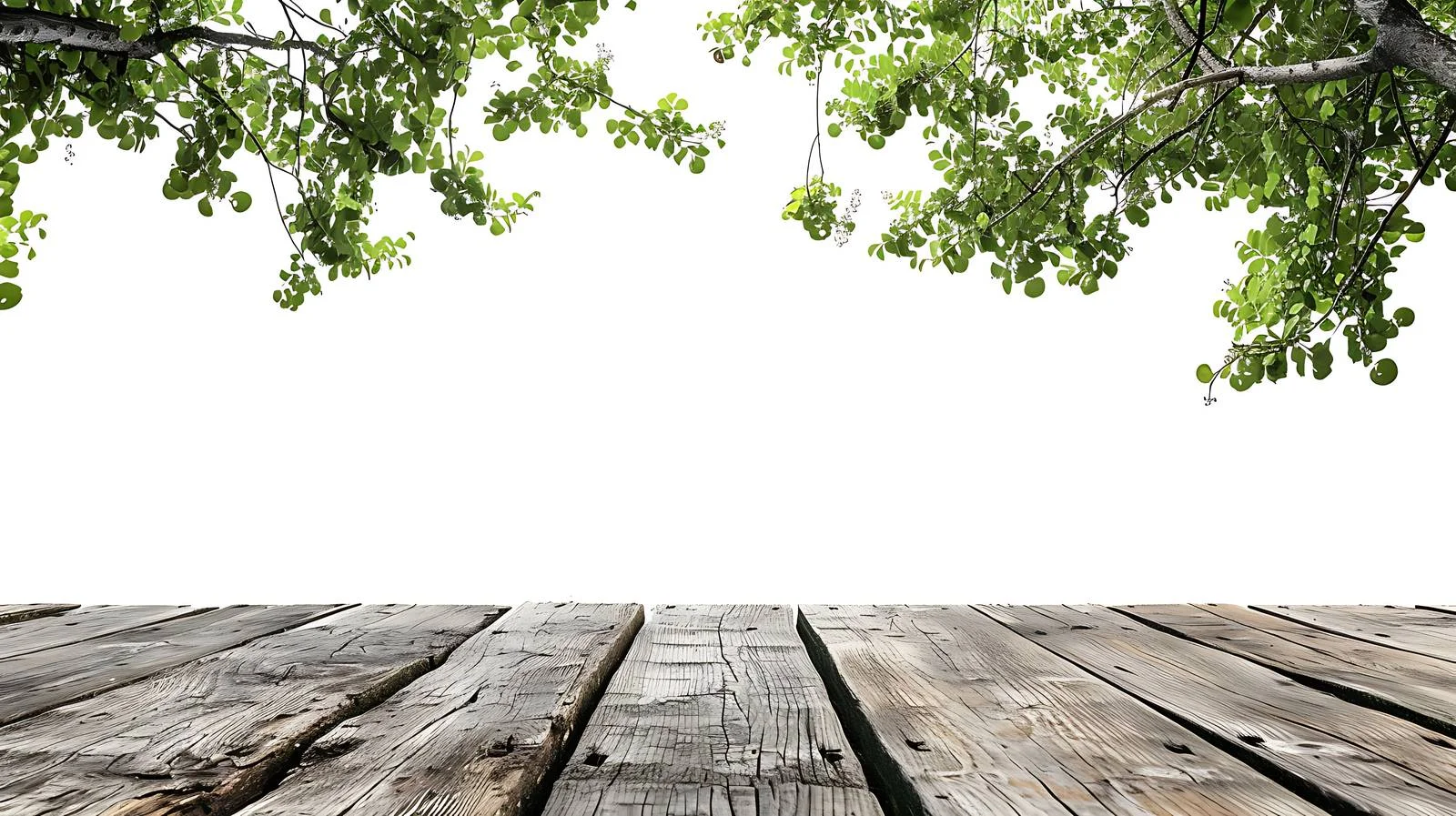 Weathered Wooden Table Surrounded by Verdant Nature – free verdant image from Dotvec