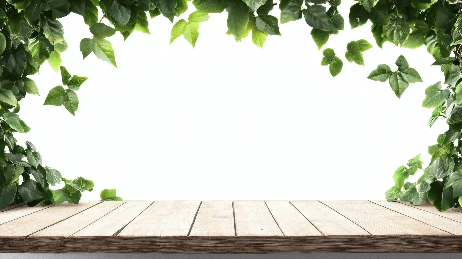 Minimalist table with isolated green leaves — free download from Dotvec