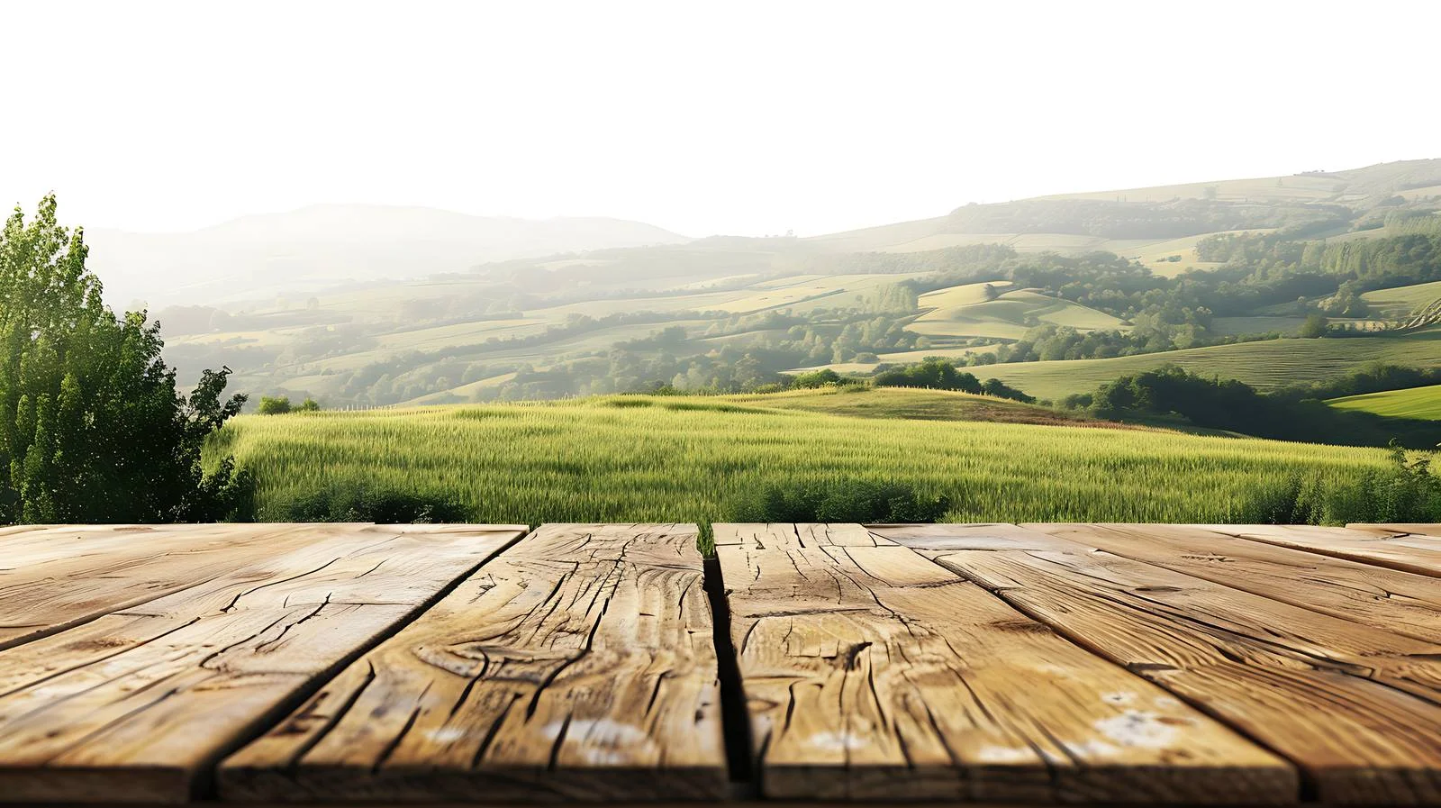 Serene Wood Table Amidst Summer Countryside — free download from Dotvec