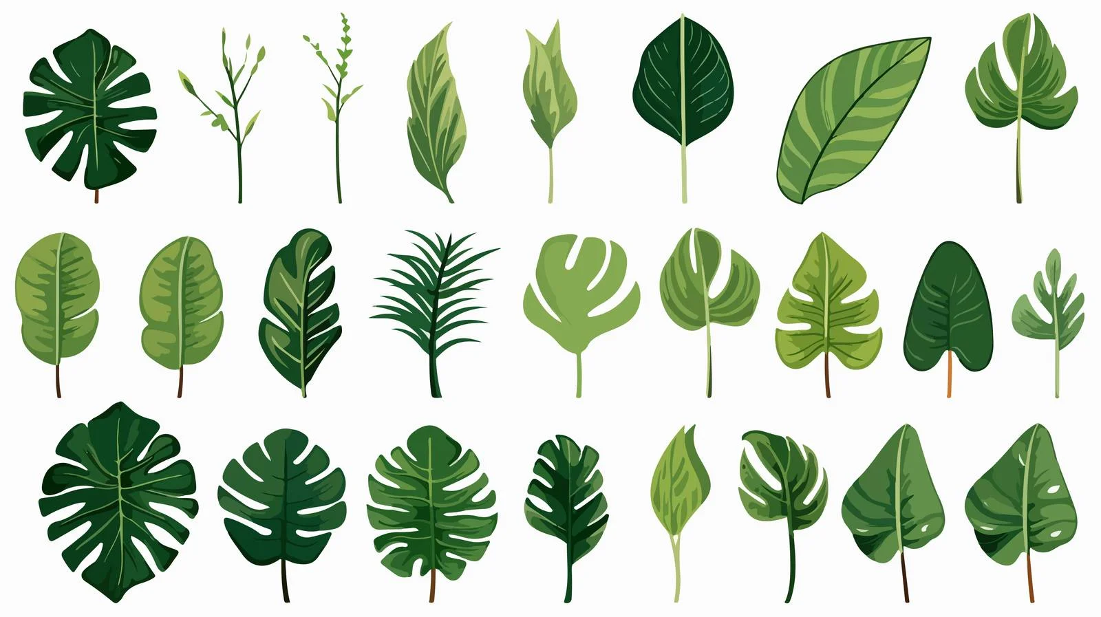 Tropical Jungle Foliage Collection — free download from Dotvec