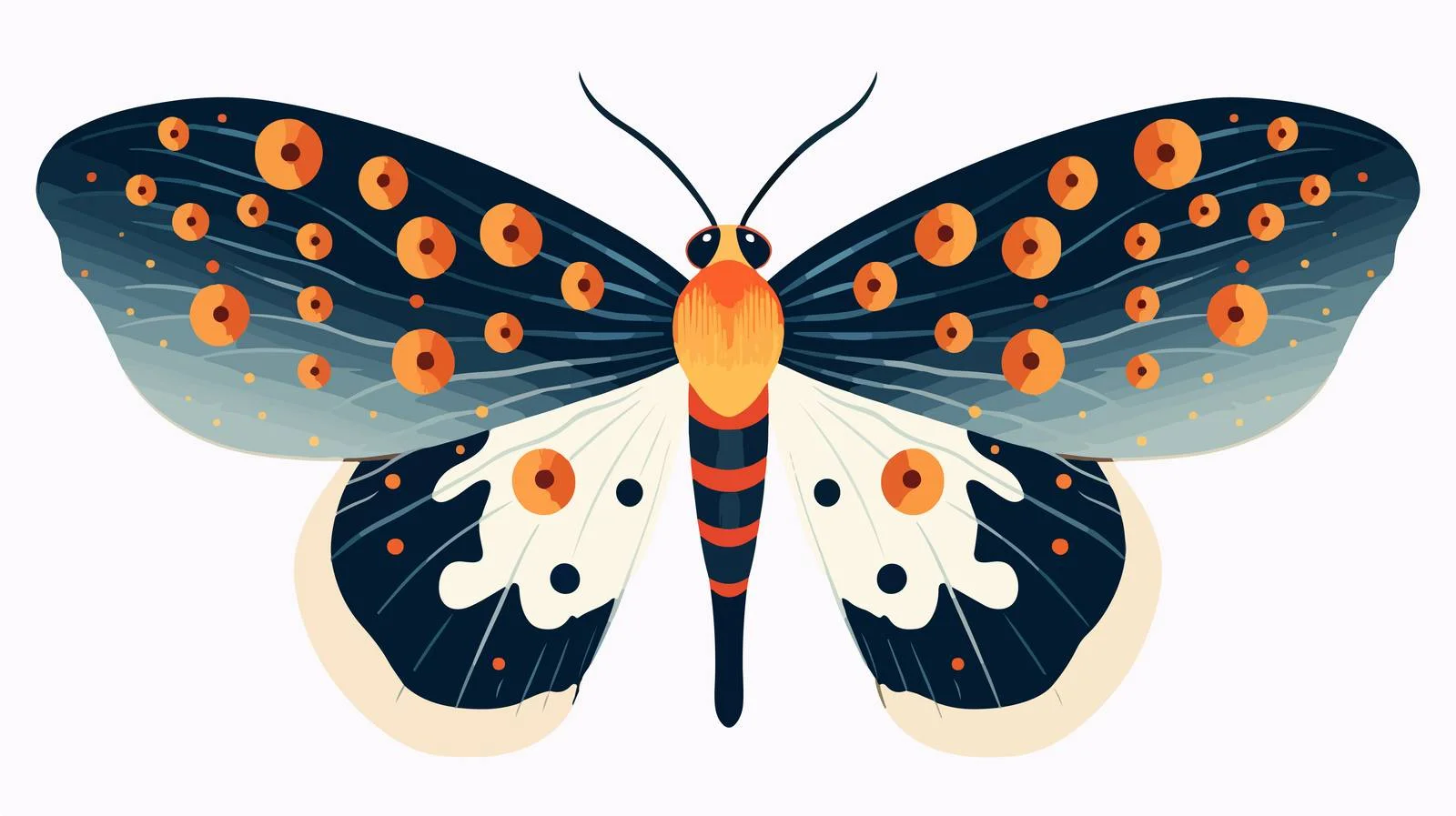 Vibrant Tropical Moth with Elegant Antennae — free download from Dotvec