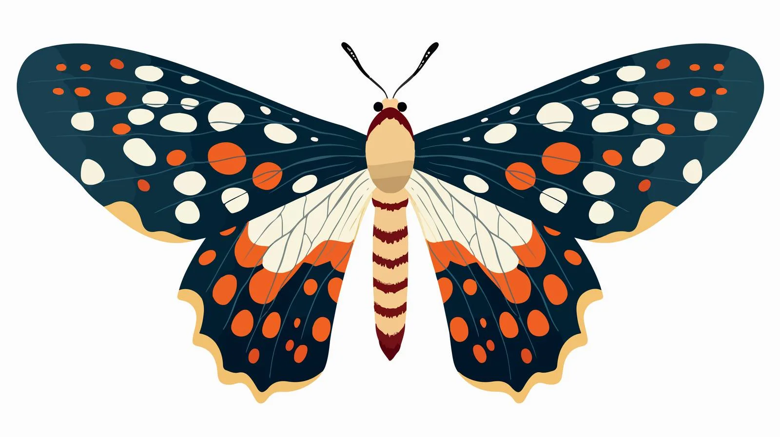 Tropical Nocturnal Moth with Long Antennae — free download from Dotvec