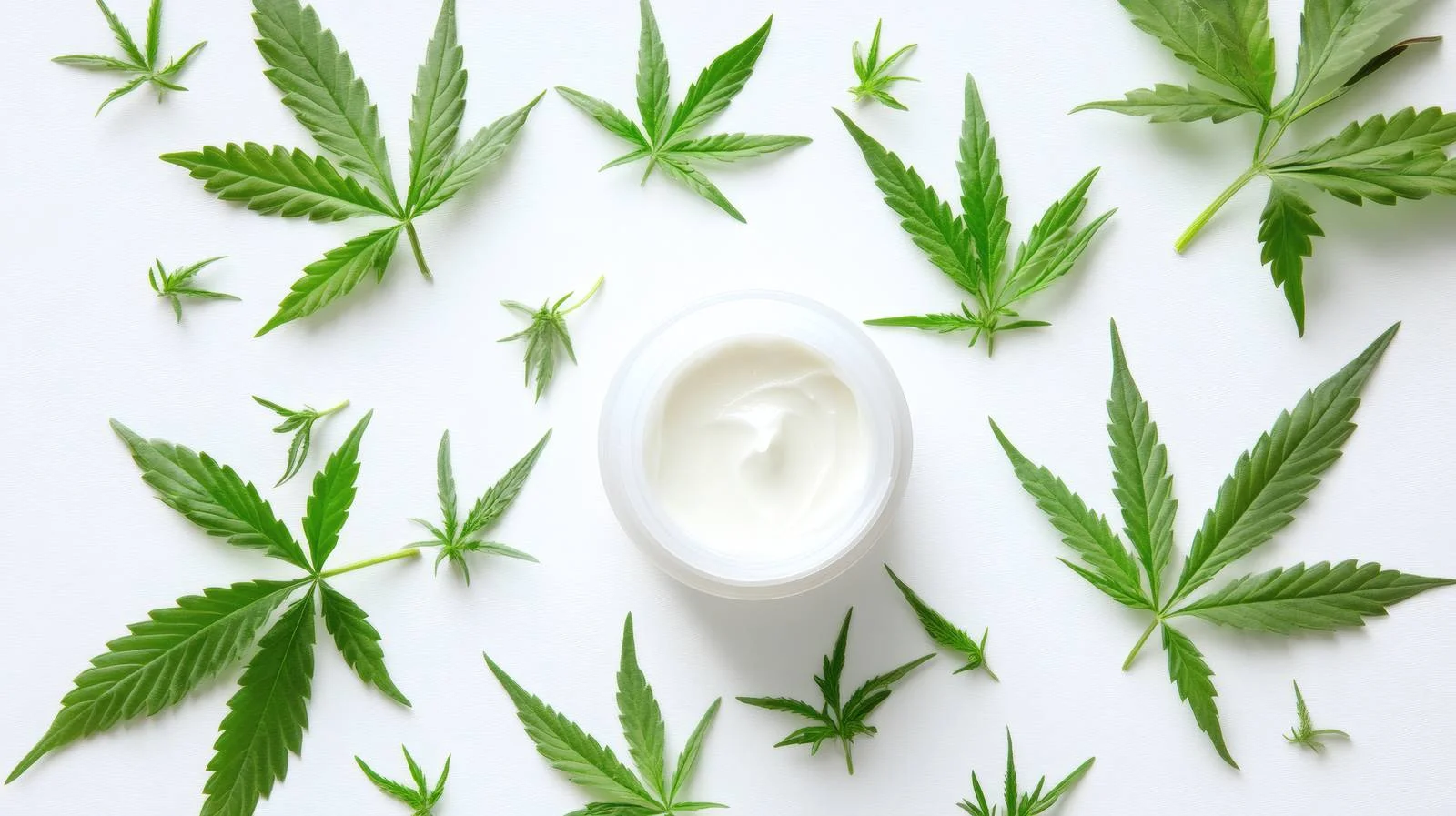 Organic Face Cream with Hemp Leaves — free download from Dotvec
