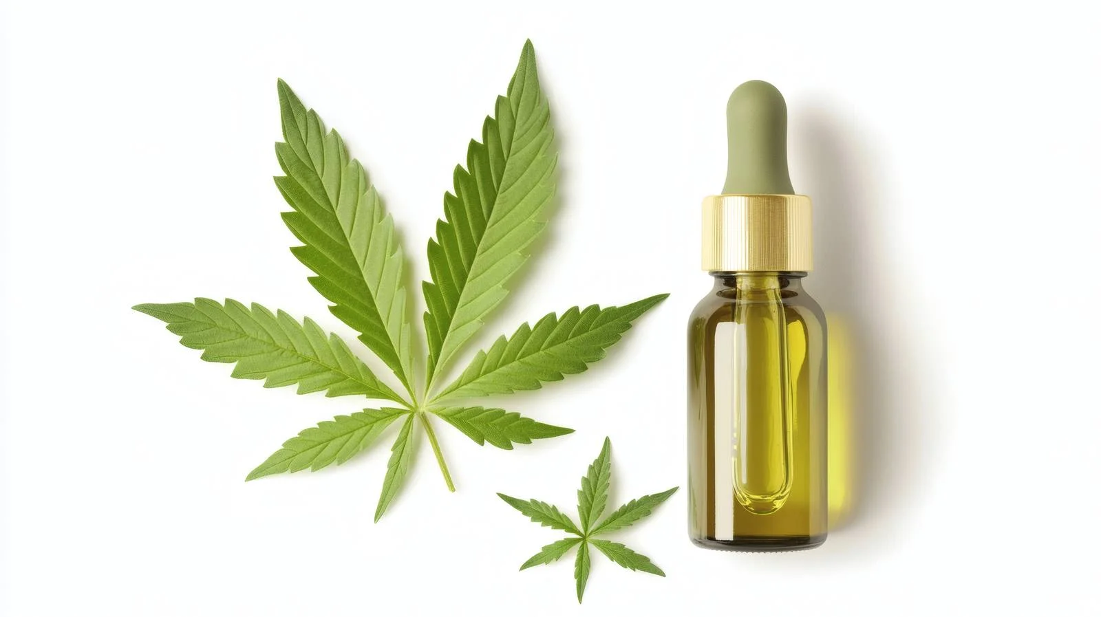 Face Serum with Hemp Leaves on White — free download from Dotvec