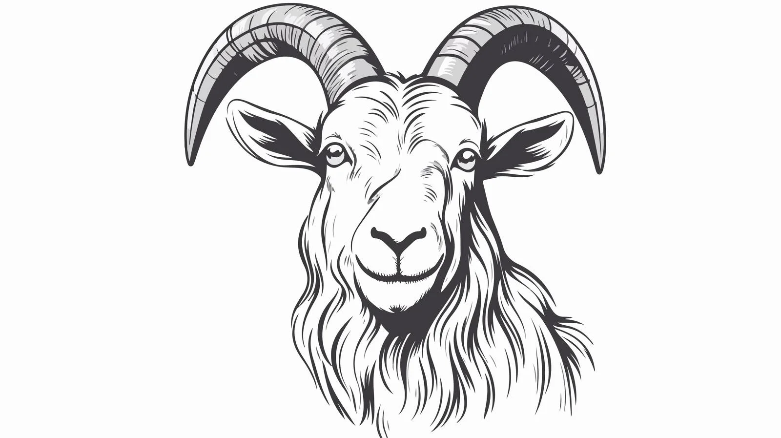 Hand-Drawn Goat Face Sketch Vector Illustration — free download from Dotvec