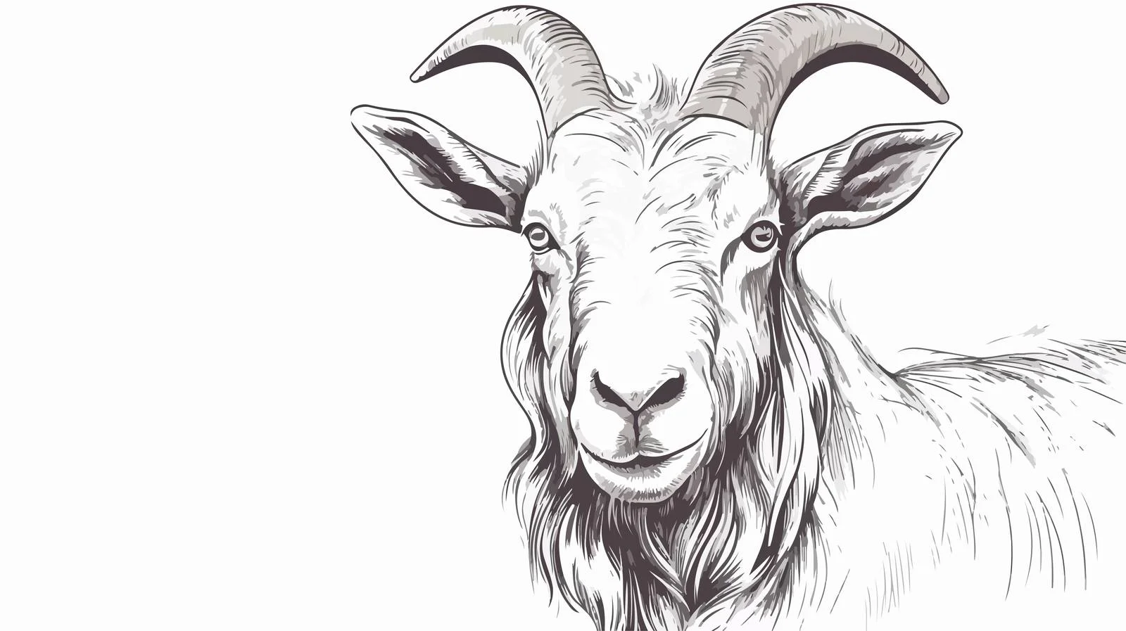 Hand-Drawn Goat Sketch Illustration — free download from Dotvec