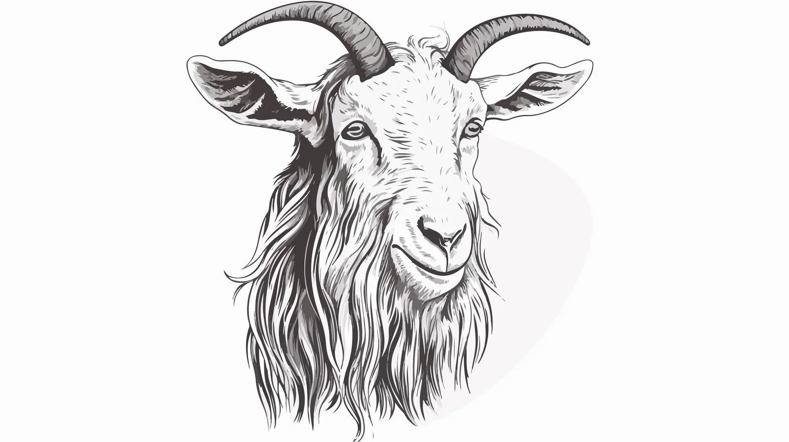 Hand-Drawn Goat Portrait Sketch — free download from Dotvec