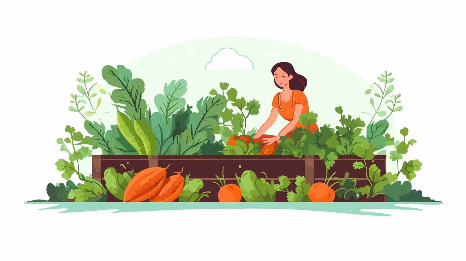 Harvesting Carrots on Farm Field — free download from Dotvec