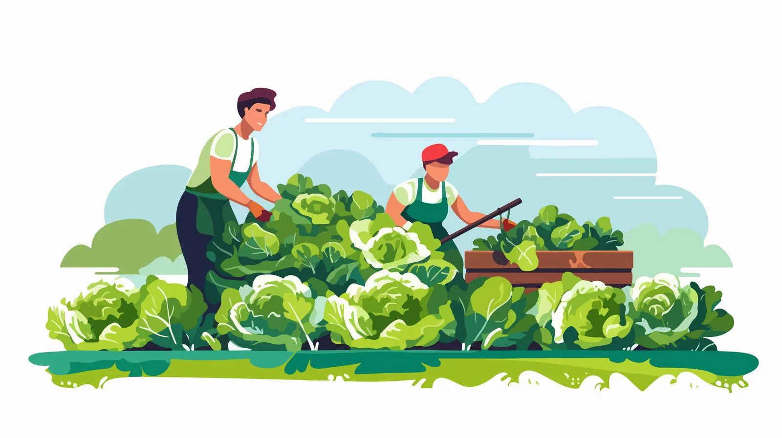 Harvesting Couple Gathering Fresh Vegetables Together — free download from Dotvec