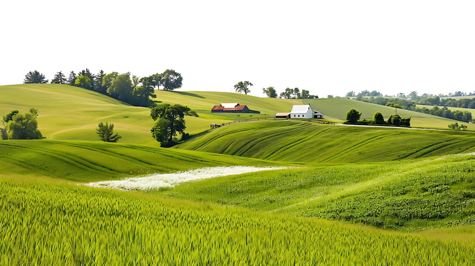 Scenic Iowa Countryside with Rolling Farmlands — free download from Dotvec