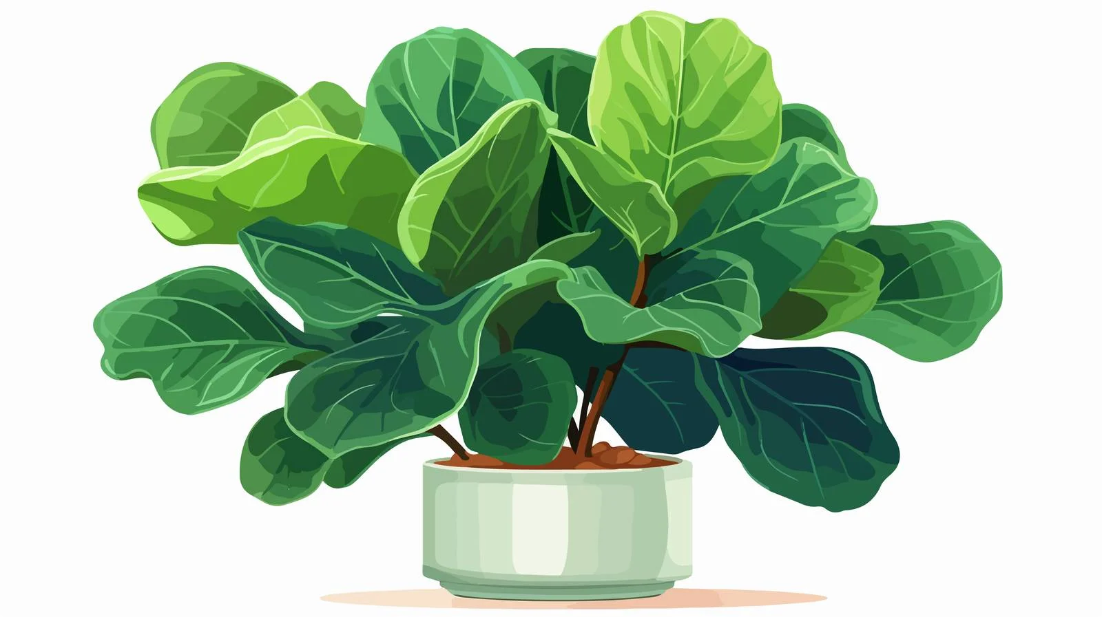 Elegant Fiddle-Leaf Fig in Stylish Pot — free download from Dotvec