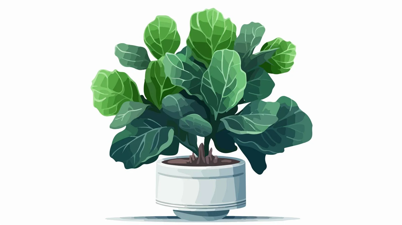 Elegant Fiddle-leaf Fig in Decorative Pot — free download from Dotvec