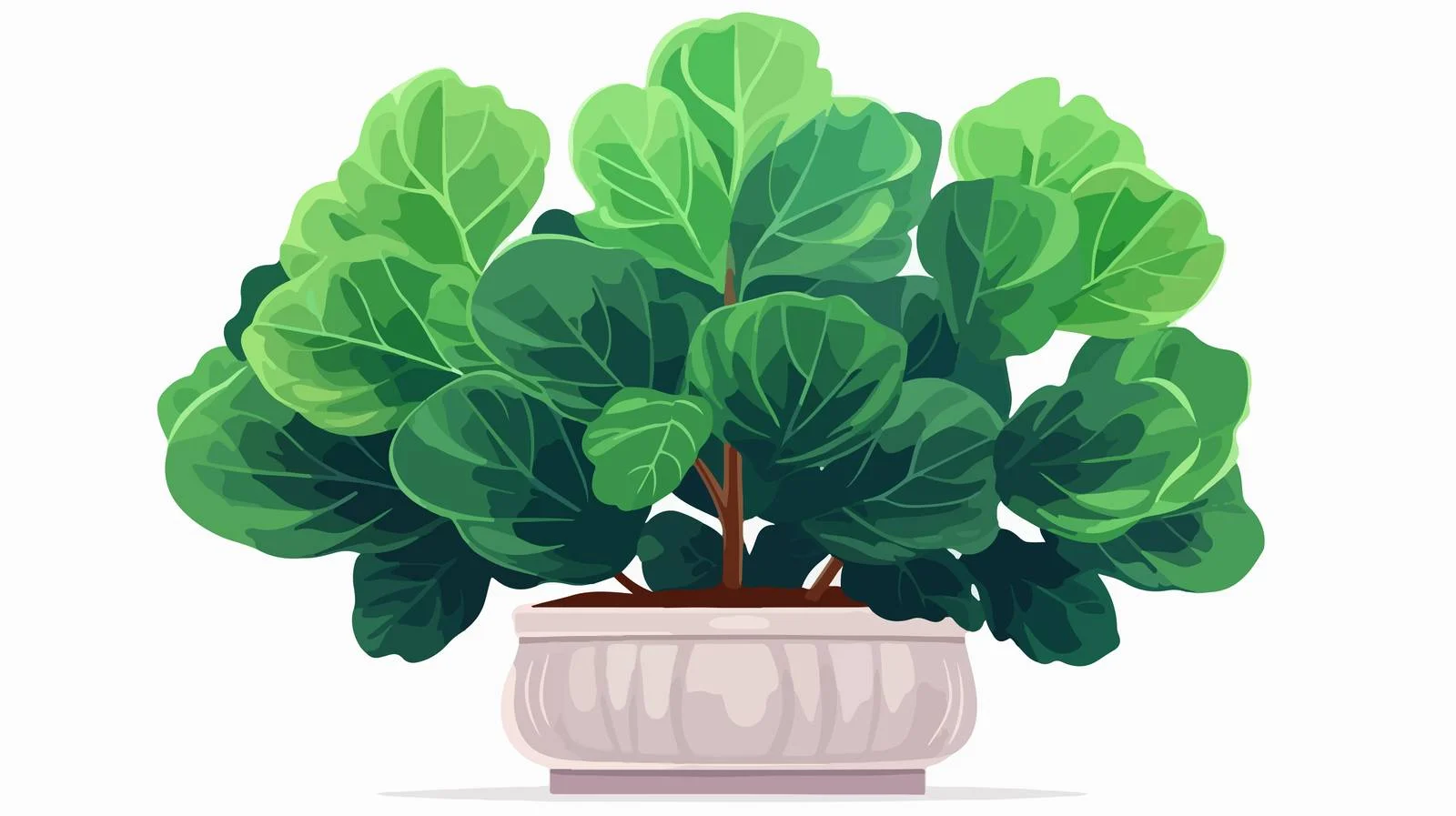 Elegant Fiddle-Leaf Fig in Decorative Pot — free download from Dotvec