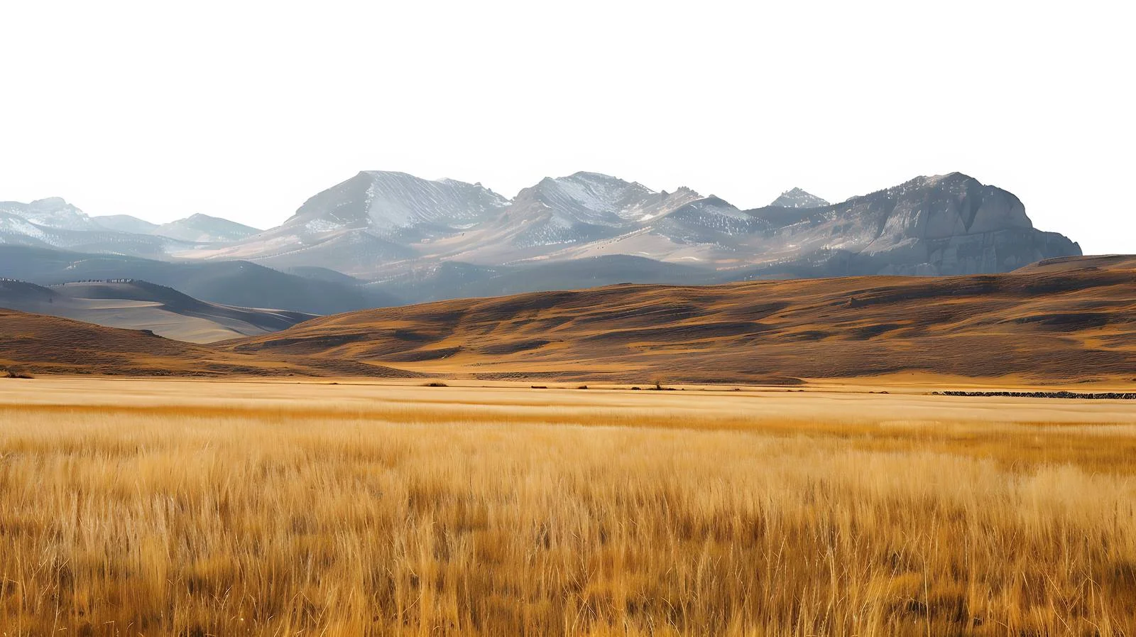 Vast Wyoming Field and Mountain Landscape — free download from Dotvec