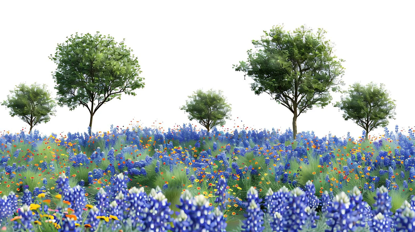 Picturesque Texas Bluebonnets and Wildflowers Field — free download from Dotvec