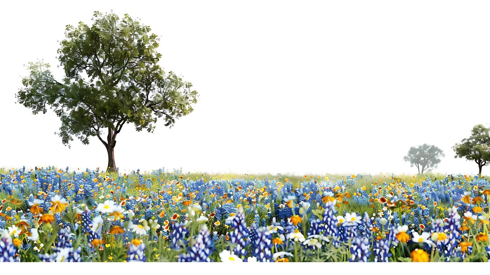 Vibrant Texas Bluebonnets and Verbanas Field — free download from Dotvec
