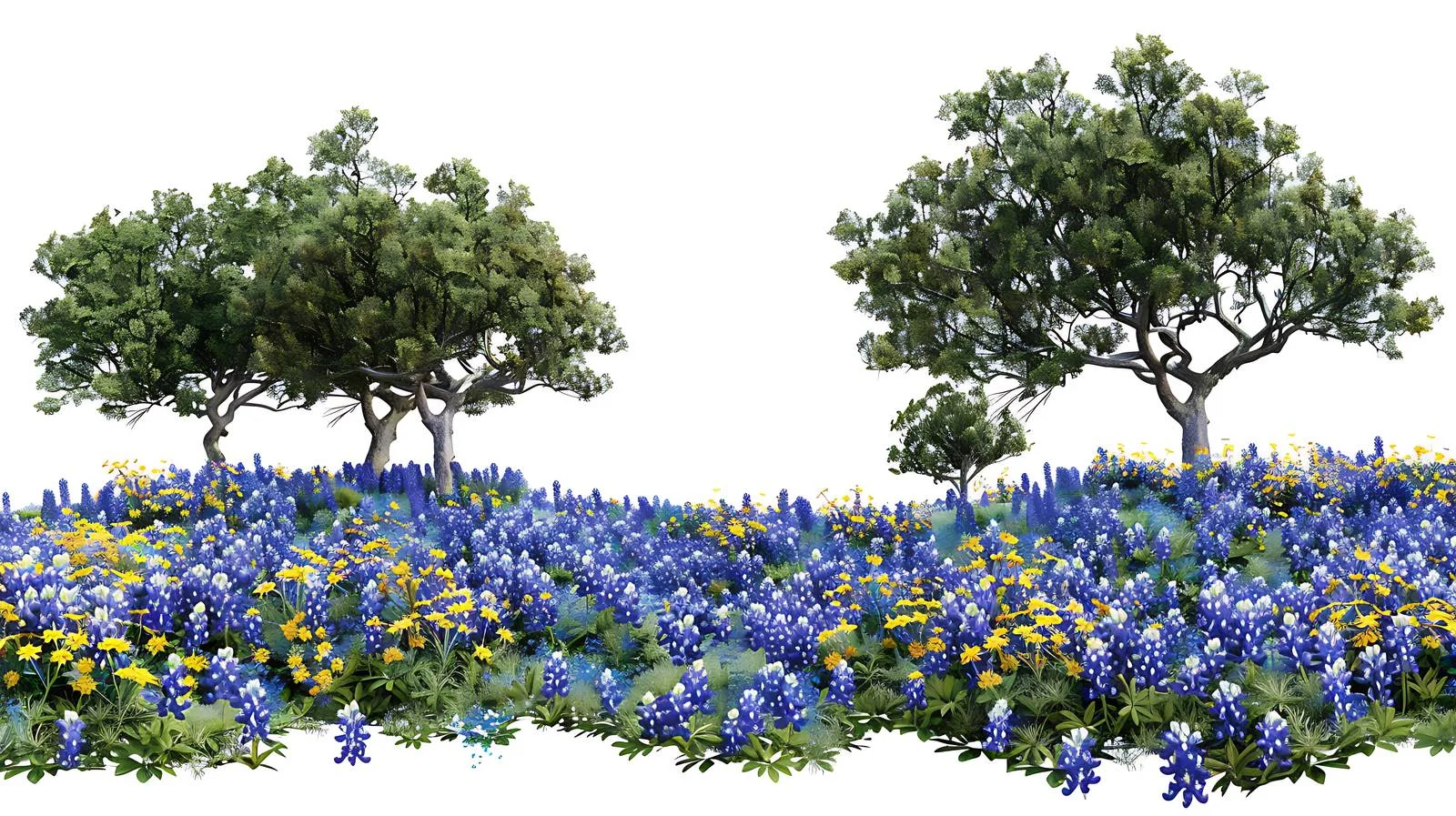 Vibrant Texas Wildflowers in Full Bloom — free download from Dotvec