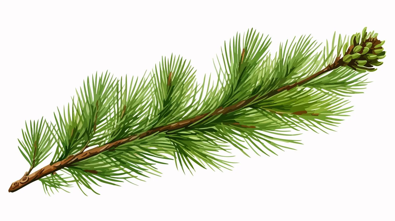 Evergreen Fir Tree Branch with Cone — free download from Dotvec