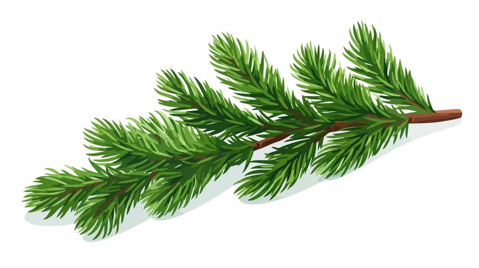Lush Fir Tree Branch with Conifer Cone — free download from Dotvec
