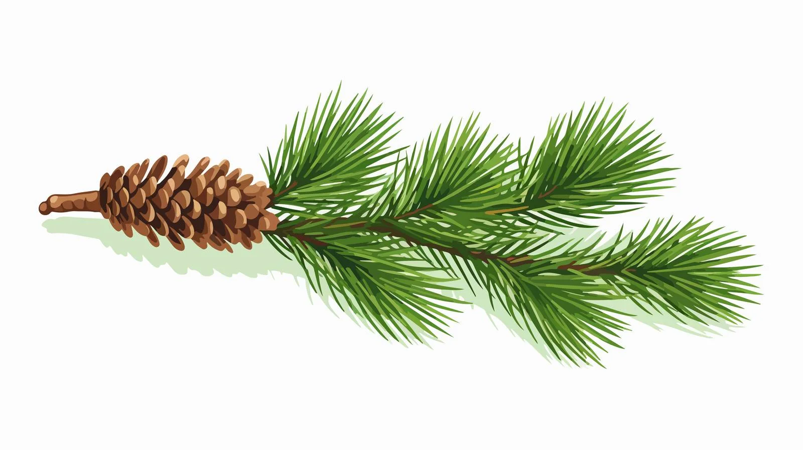 Evergreen Fir Tree Branch and Cone — free download from Dotvec