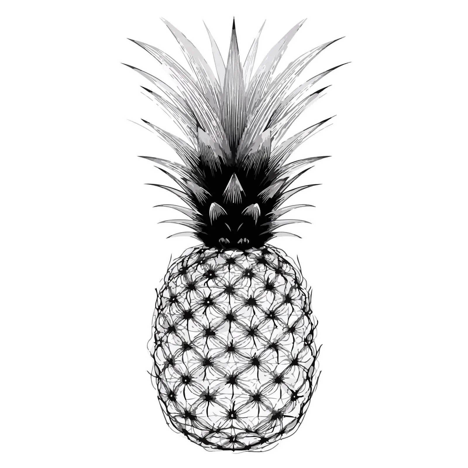 Minimal Pineapple Line Art Vector Illustration — free download from Dotvec