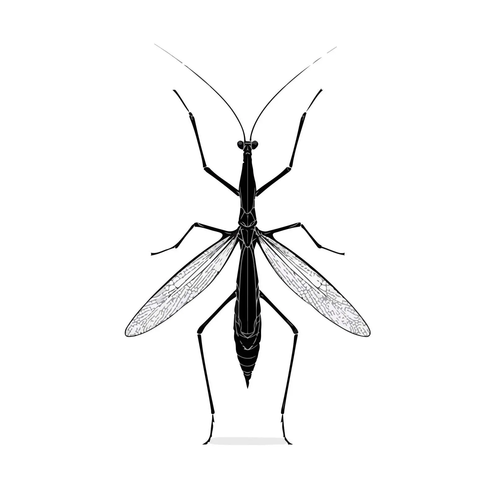 Minimal Stick Insect Line Art — free download from Dotvec