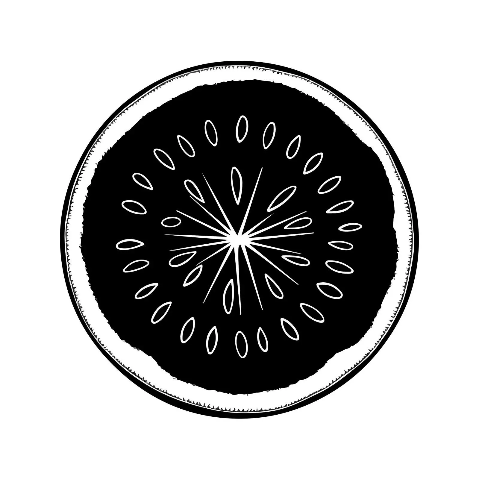 Watermelon Line Art Illustration — free download from Dotvec